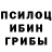 Псилоцибиновые грибы Psilocybe KREON