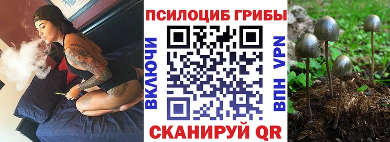 хочу наркоту Геленджик Галлюциногенные грибы мухоморы
